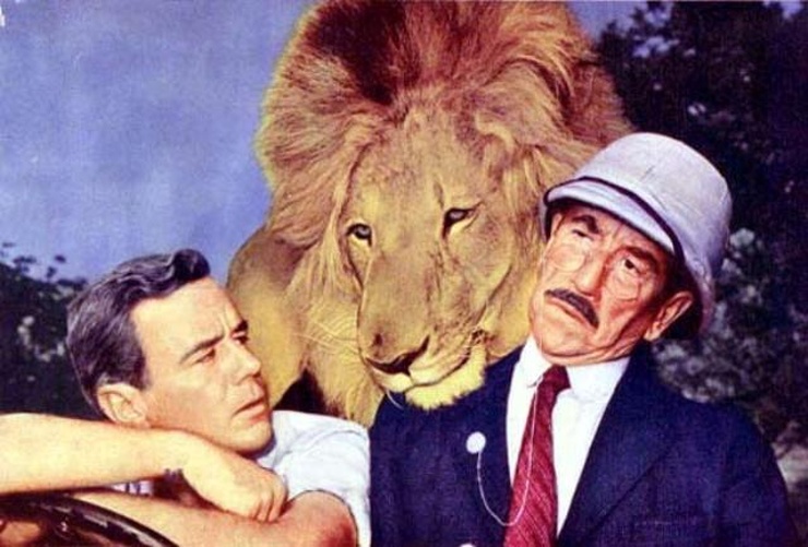 favorite-big-cat-films