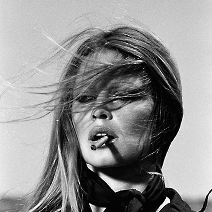 Brigitte Bardot's Face list