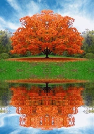 Autumn Colors list