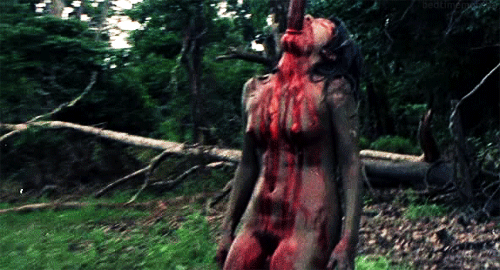 Picture of Cannibal Holocaust